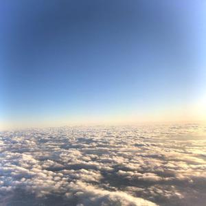 OVA生育♡魅魔再教育
